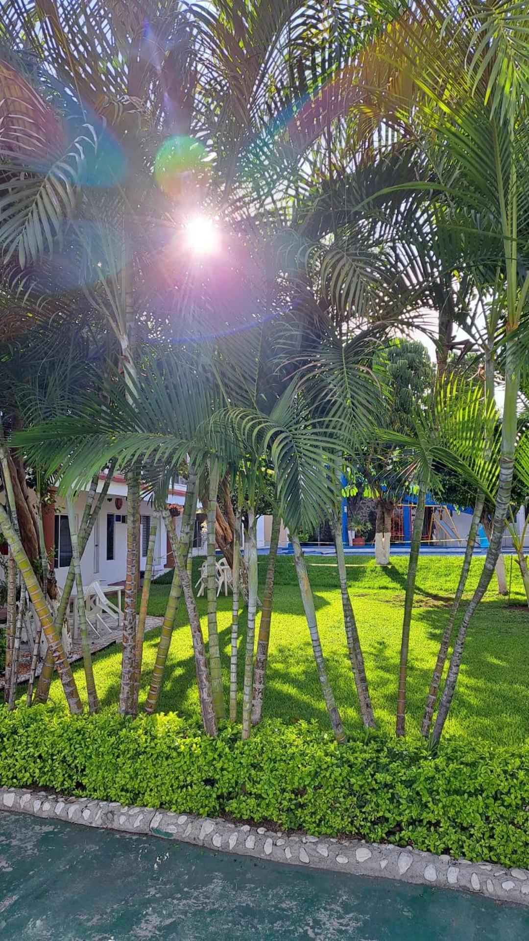 Hotel Quinta Paraiso Cocoyoc Extérieur photo
