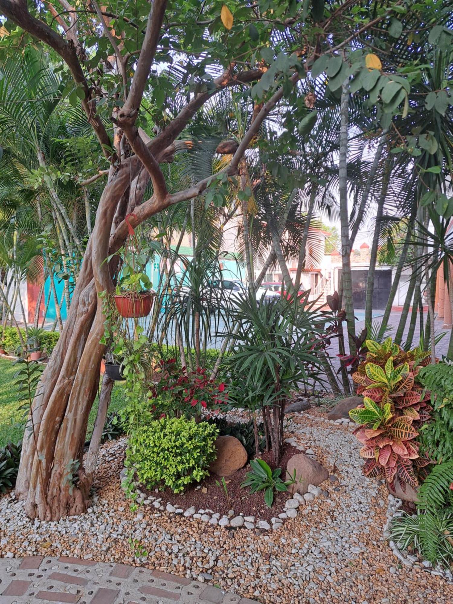 Hotel Quinta Paraiso Cocoyoc Extérieur photo